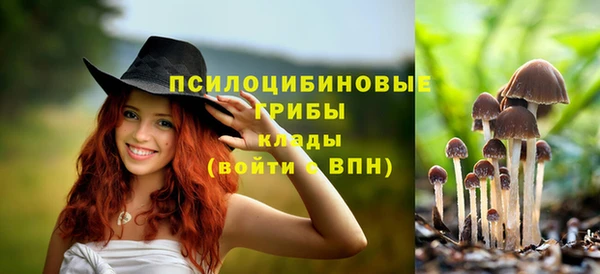 сатива Ладушкин
