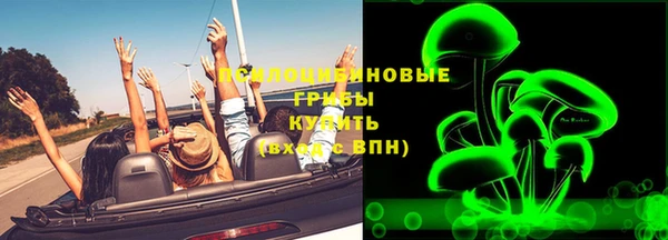 сатива Ладушкин