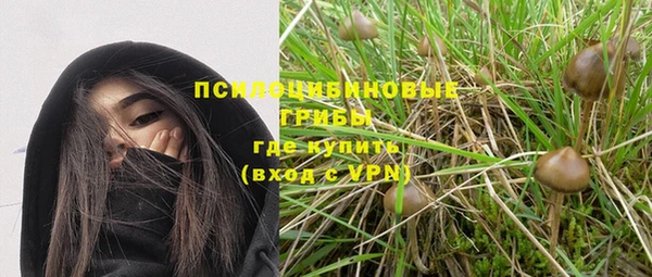 прущие грибы Лагань