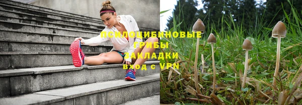 сатива Ладушкин