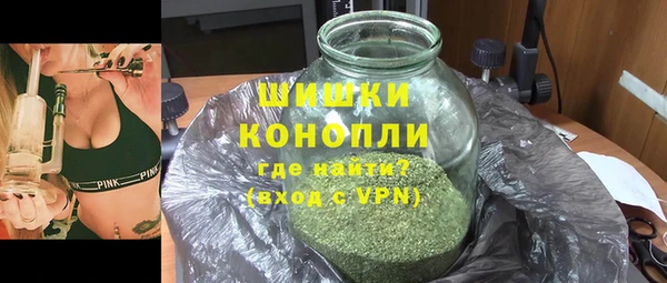 сатива Ладушкин